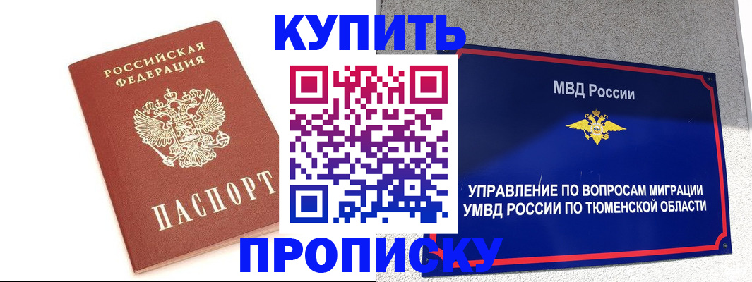 прописка поиск в Королёве